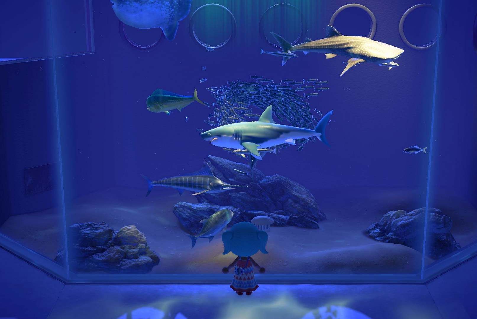 Animal Crossing’s aquarium experience is going on tour — here’s how it works